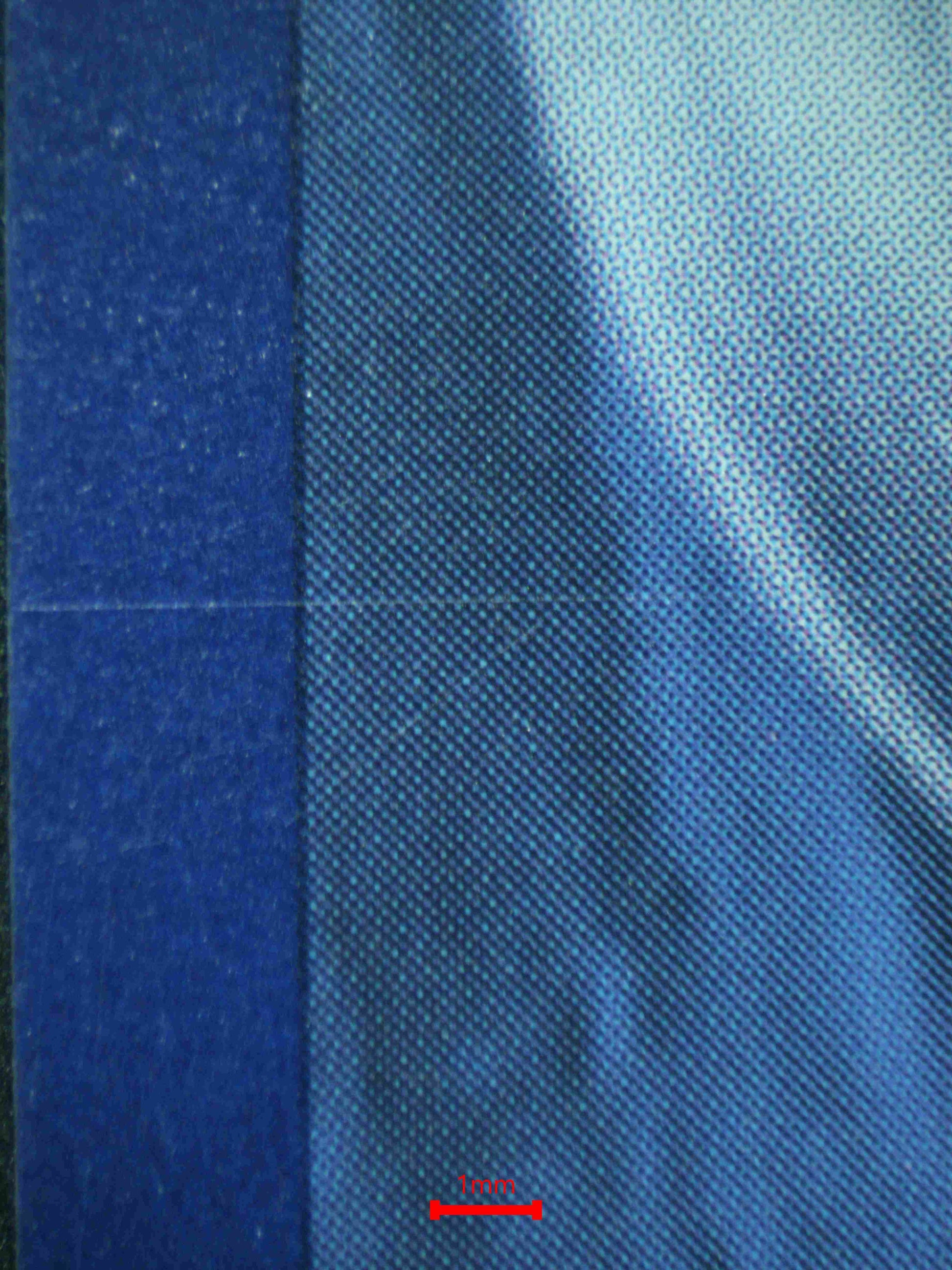 06645 CODAGRIGUS EX Grading Card