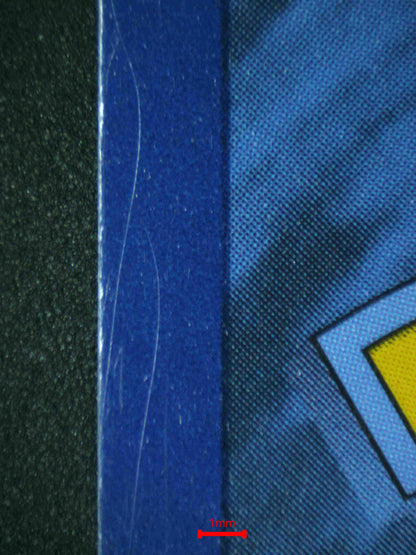 06647 LUXRAY EX Grading Card