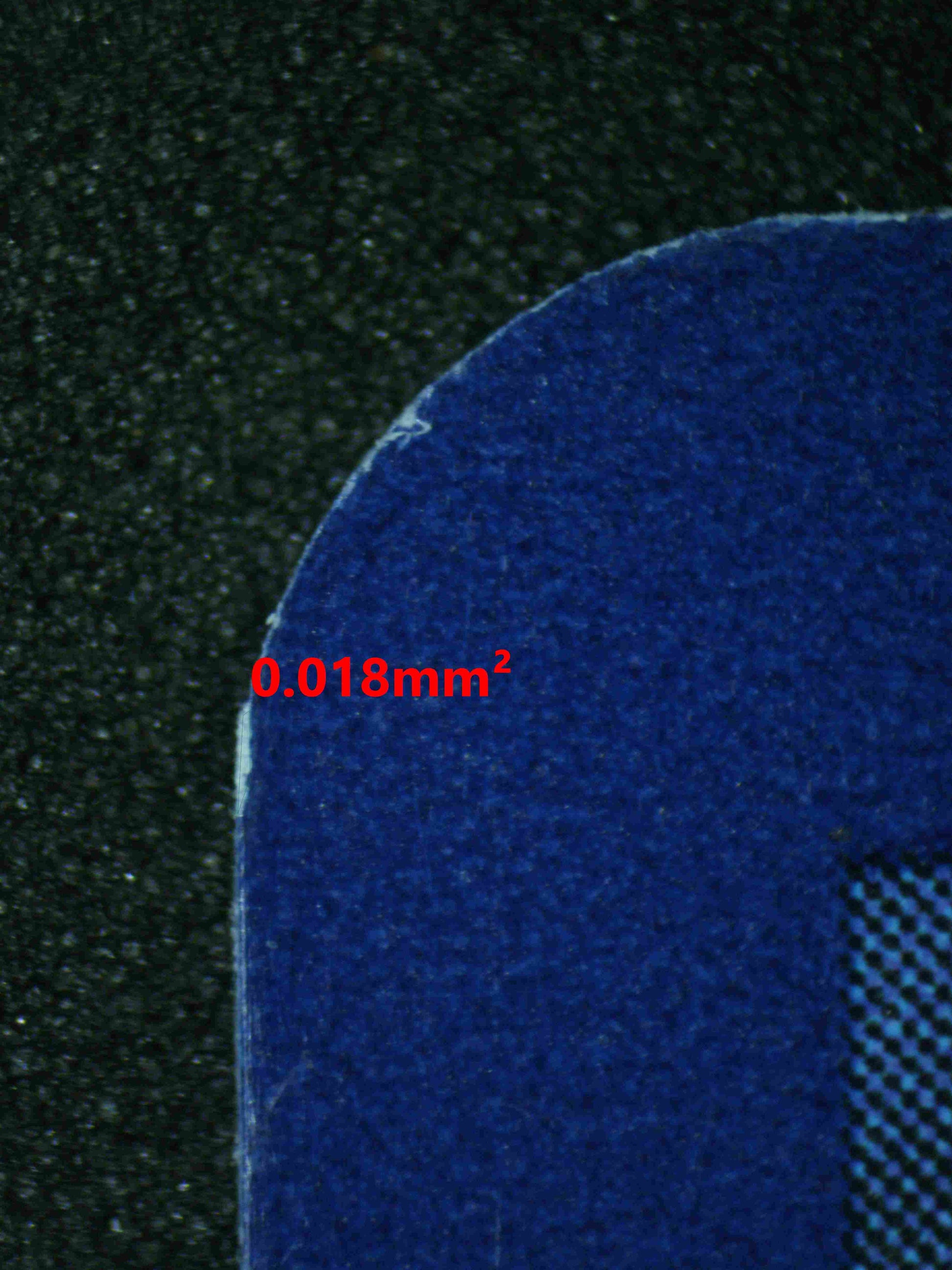 06648 PIDGEOT EX Grading Card