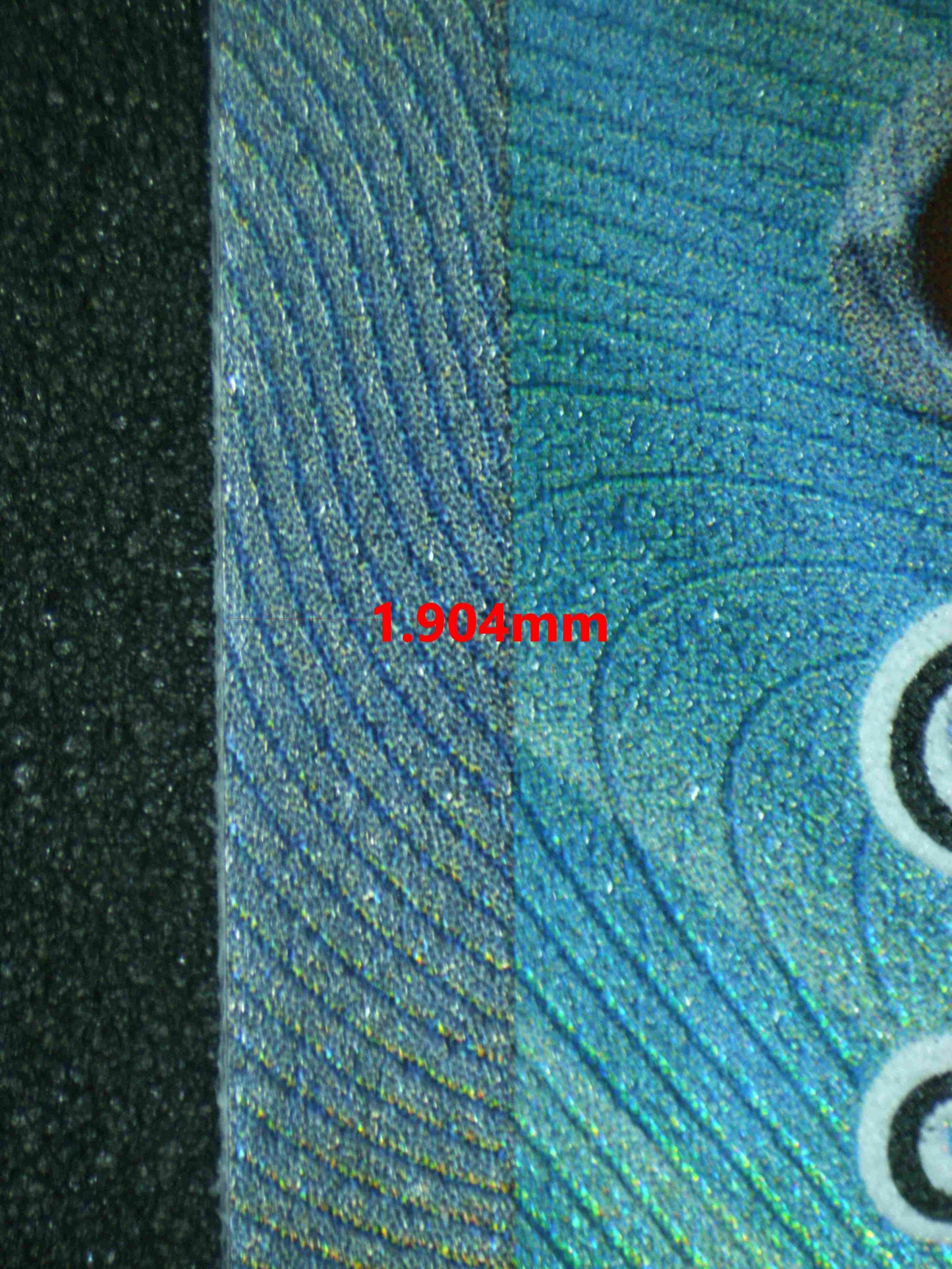 06648 PIDGEOT EX Grading Card