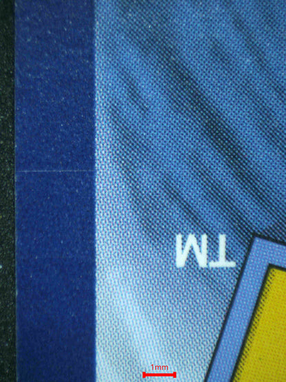 06649 UMBREON EX Grading Card