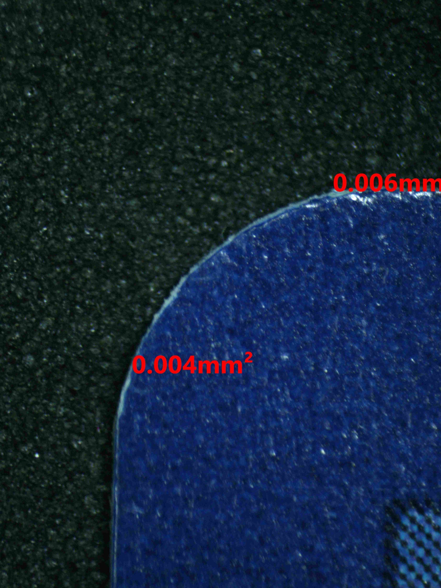 06651 CHARIZARD EX Grading Card