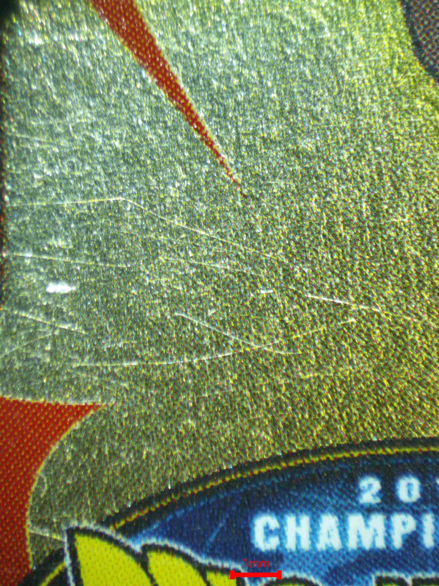 06657 SON GOHAN, THE AVENGER Grading Card