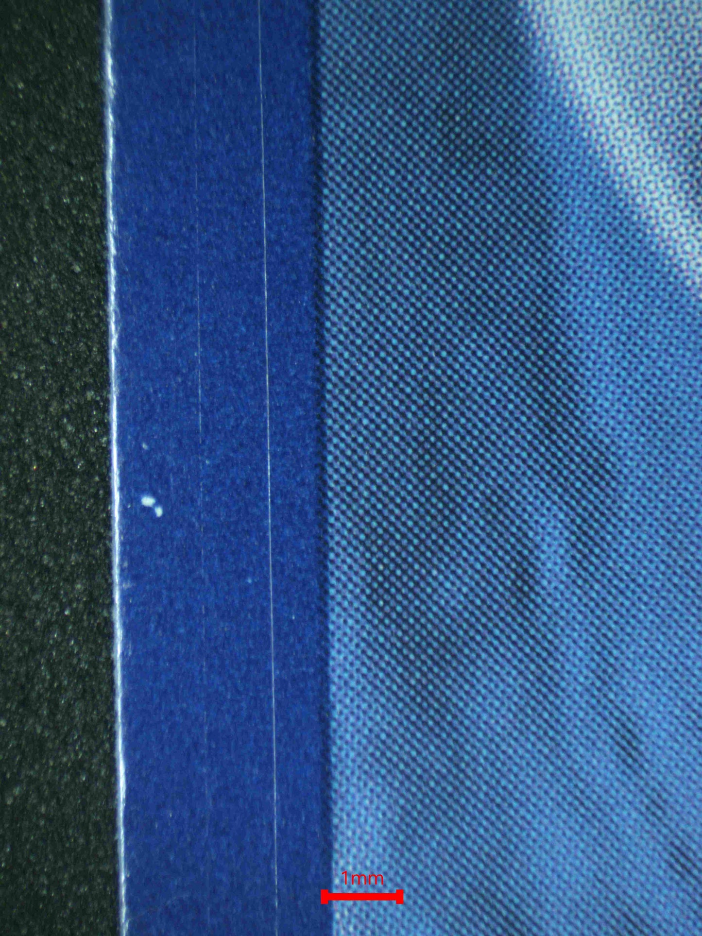 06664 CLEFFA (SPANISH) Grading Card