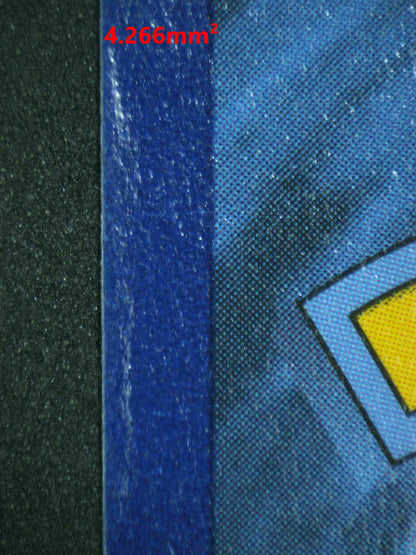 06666 SNORLAX VMAX (SPANISH) Grading Card