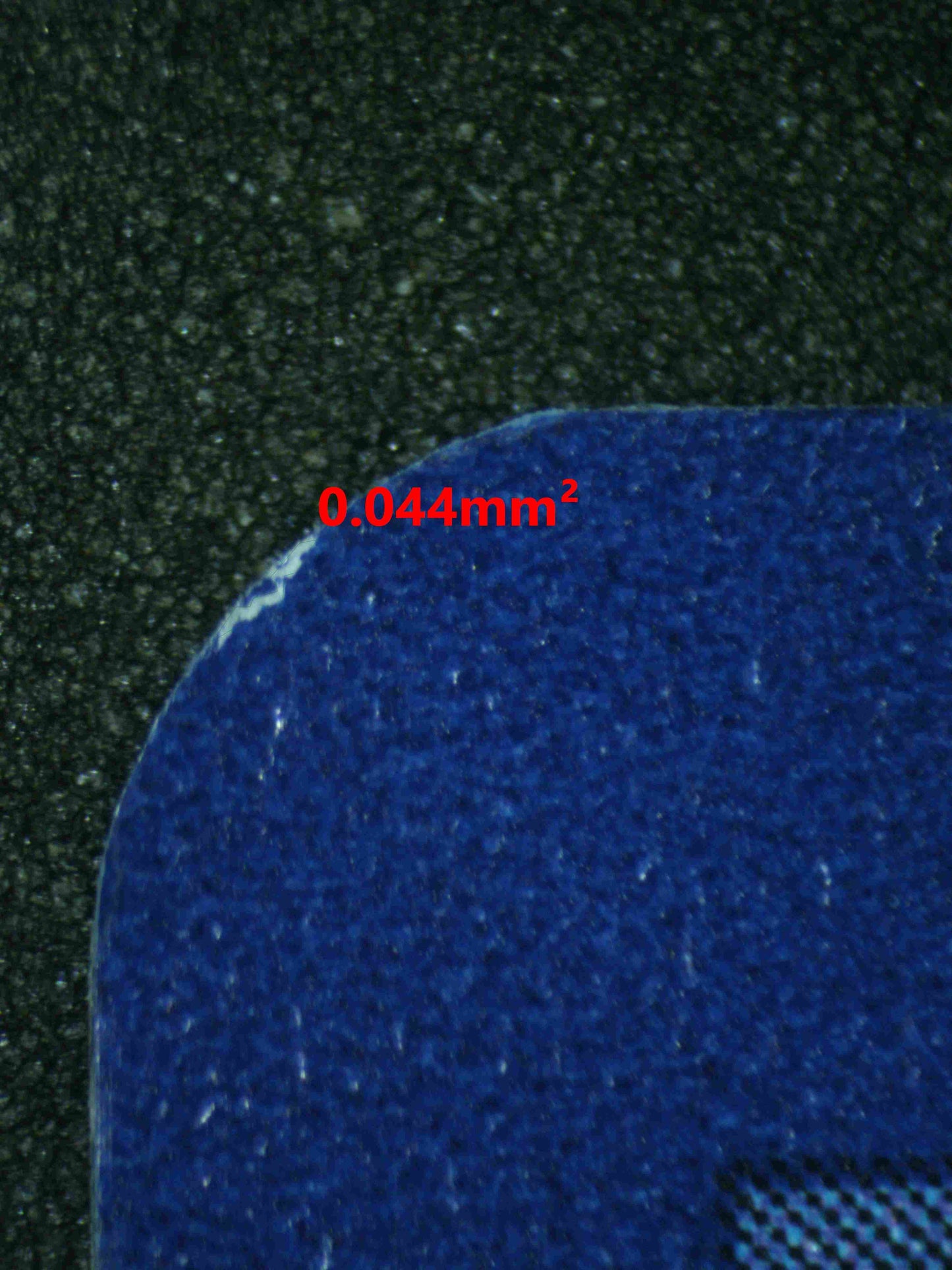 06667 BULBASAUR Grading Card