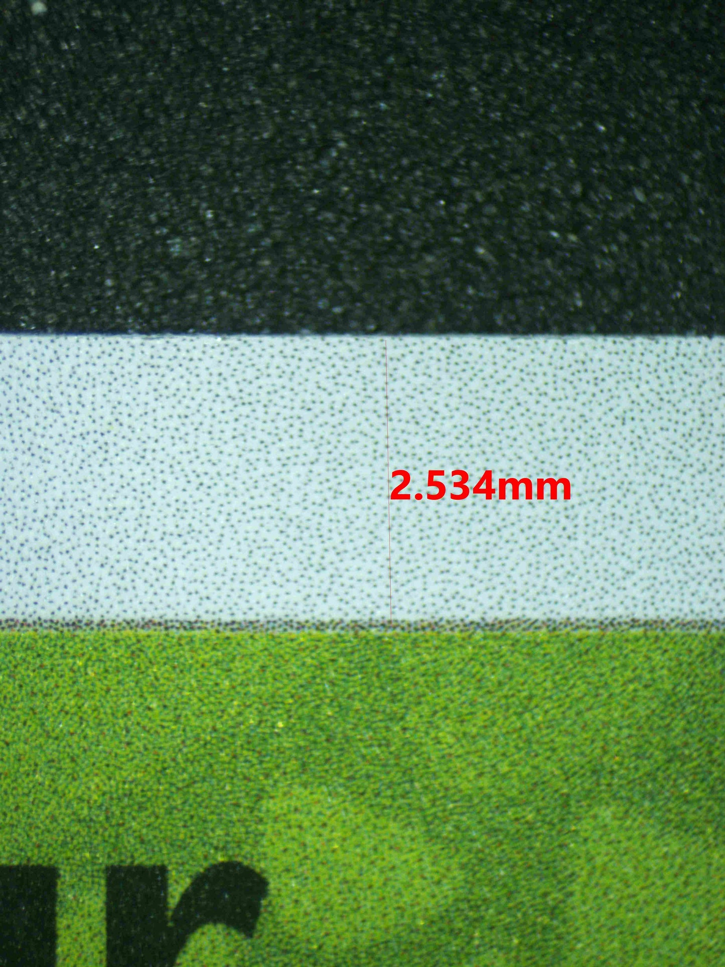 06667 BULBASAUR Grading Card