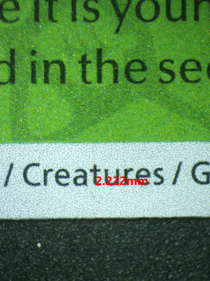 06667 BULBASAUR Grading Card