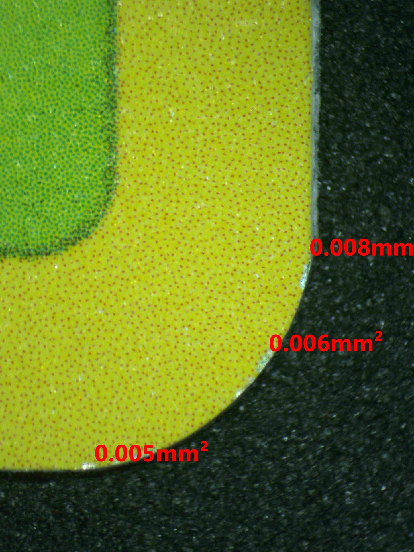 06668 CELEBI (SPANISH) Grading Card