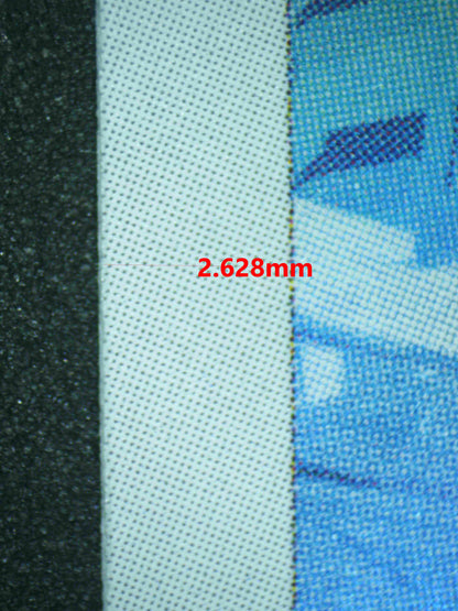 06669 STEELIX (JAPANESE) Grading Card