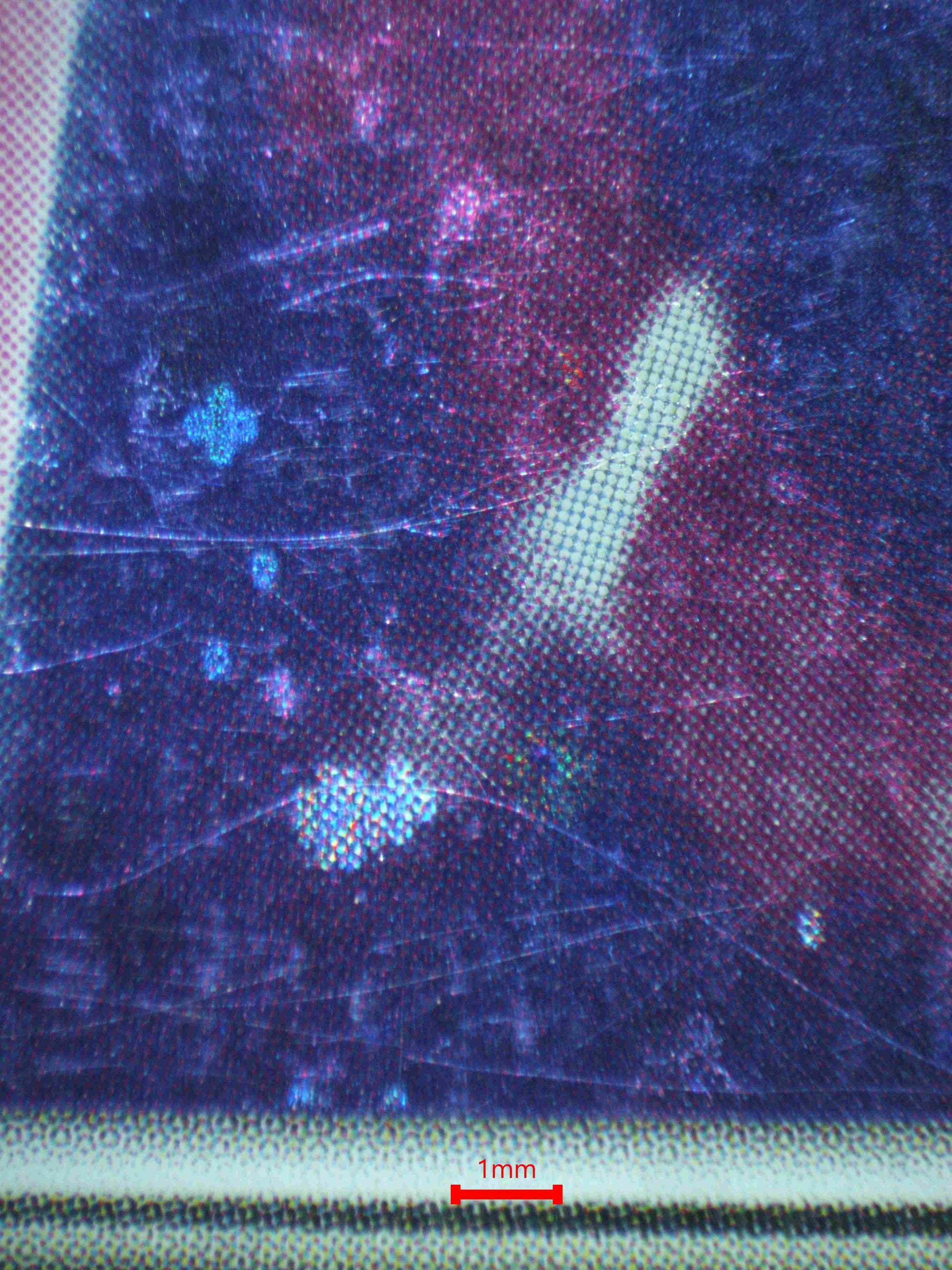 06673 MEW EX Grading Card