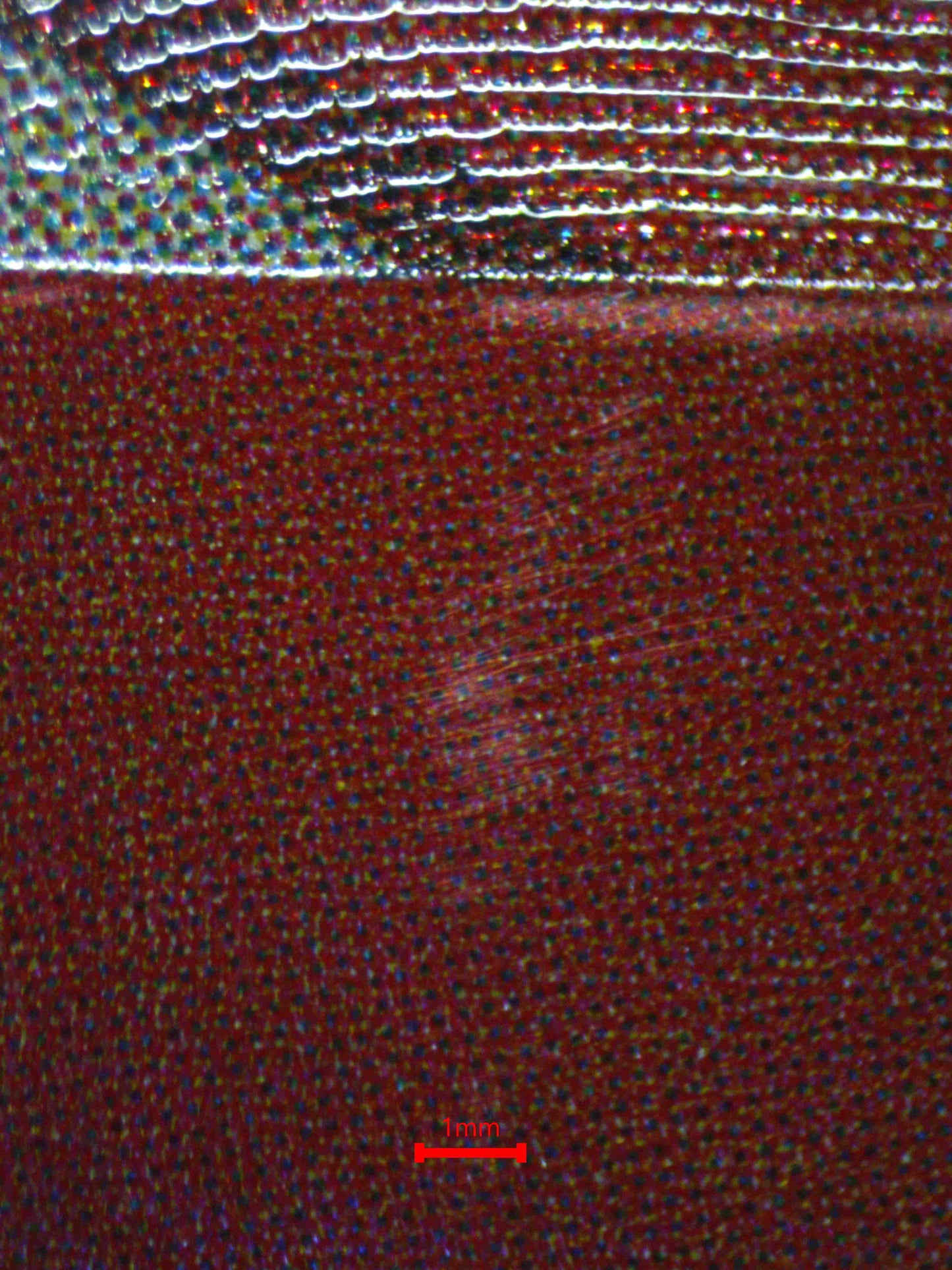 06675 OTAMA Grading Card