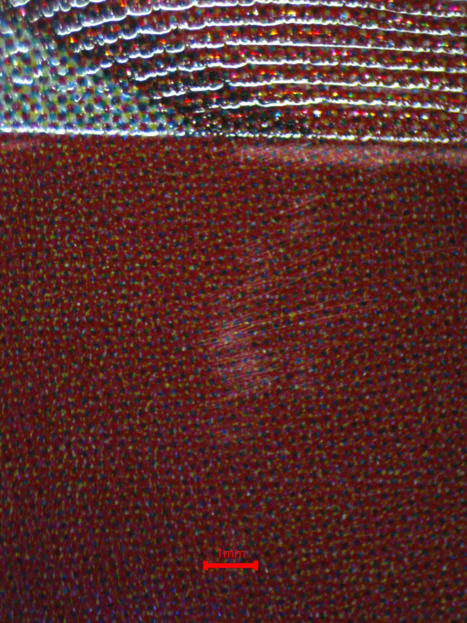 06675 OTAMA Grading Card