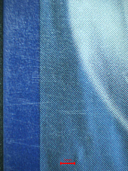 06683 UMBREON V (SPANISH) Grading Card