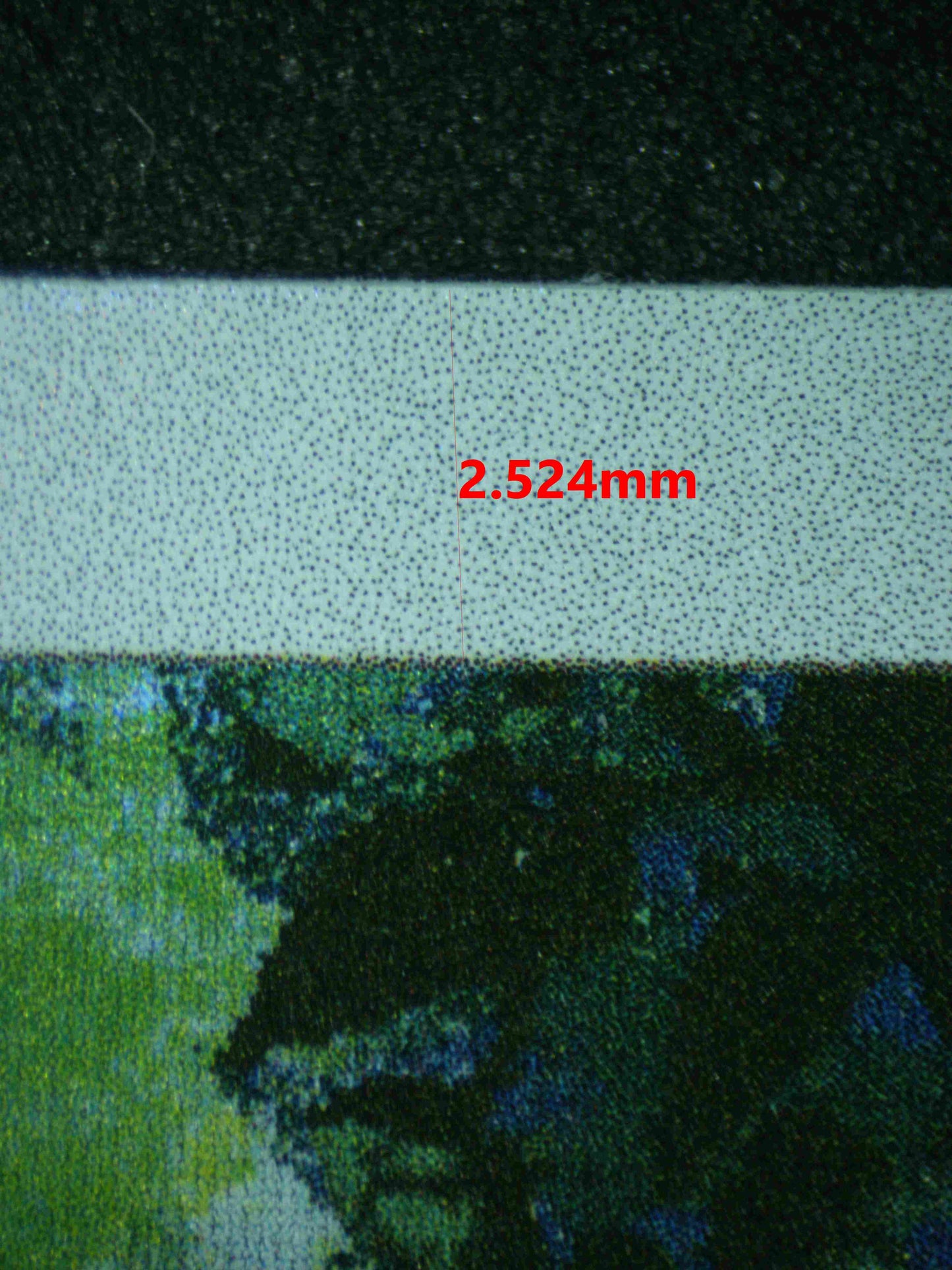 06685 PSYDUCK Grading Card