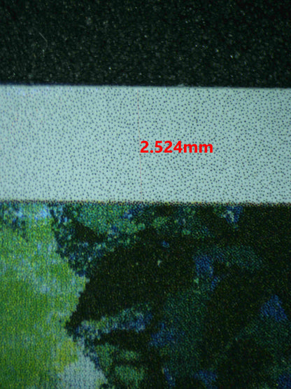 06685 PSYDUCK Grading Card