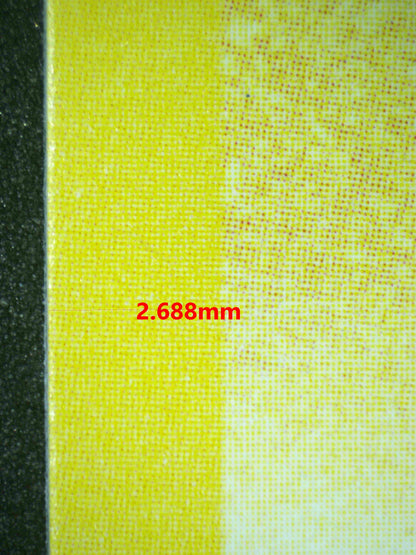 06688 PIKACHU Grading Card