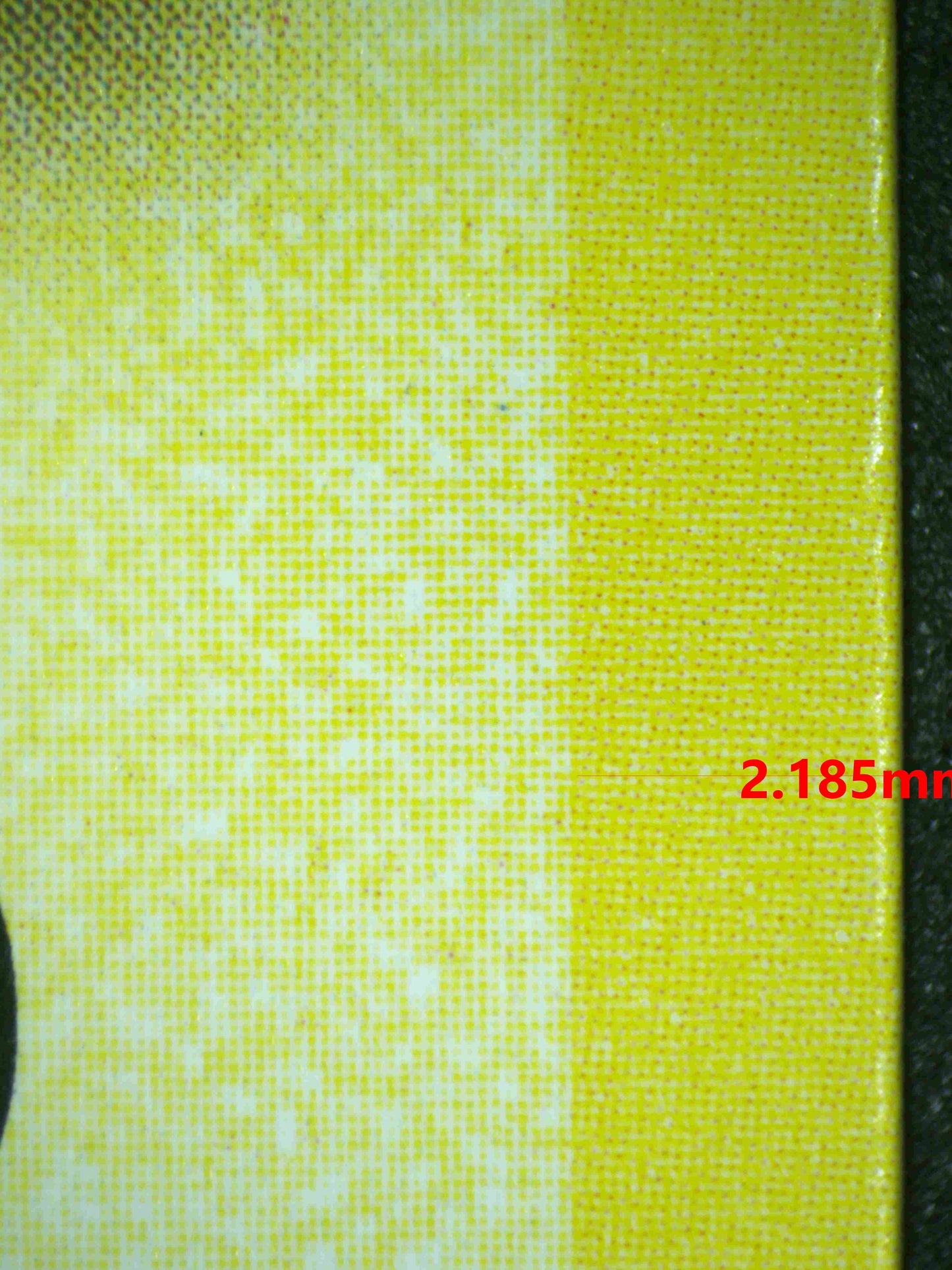 06688 PIKACHU Grading Card