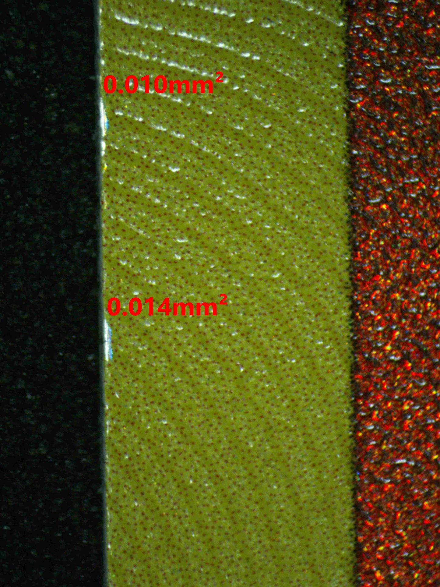 06689 RADIANT CHARIZARD (SPANISH) Grading Card