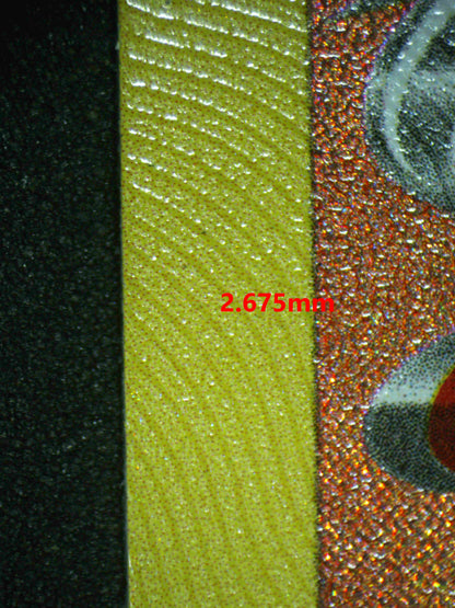 06689 RADIANT CHARIZARD (SPANISH) Grading Card