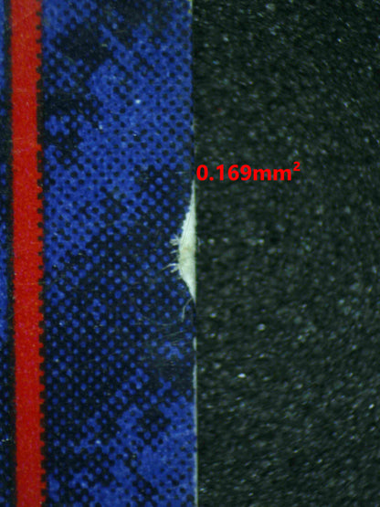 06696 ZAPDOS (JAPANESE) Grading Card