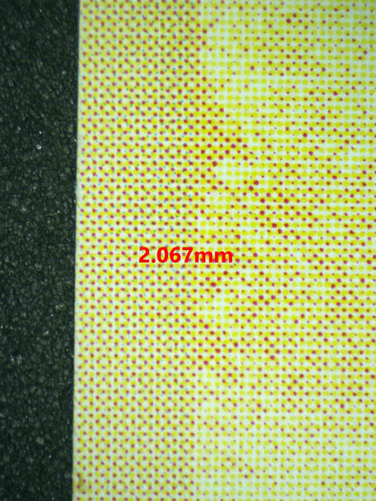 06696 ZAPDOS (JAPANESE) Grading Card