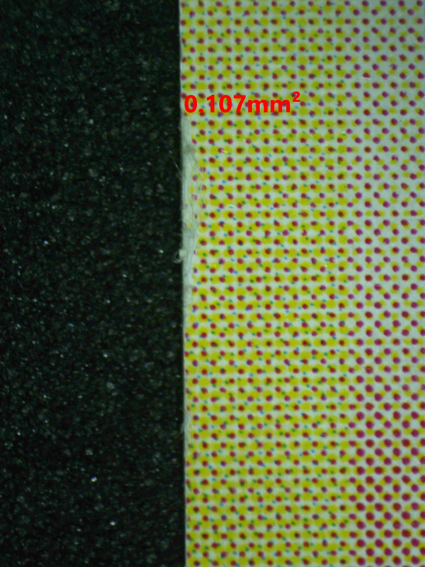 06697 MOLTRES (JAPANESE) Grading Card