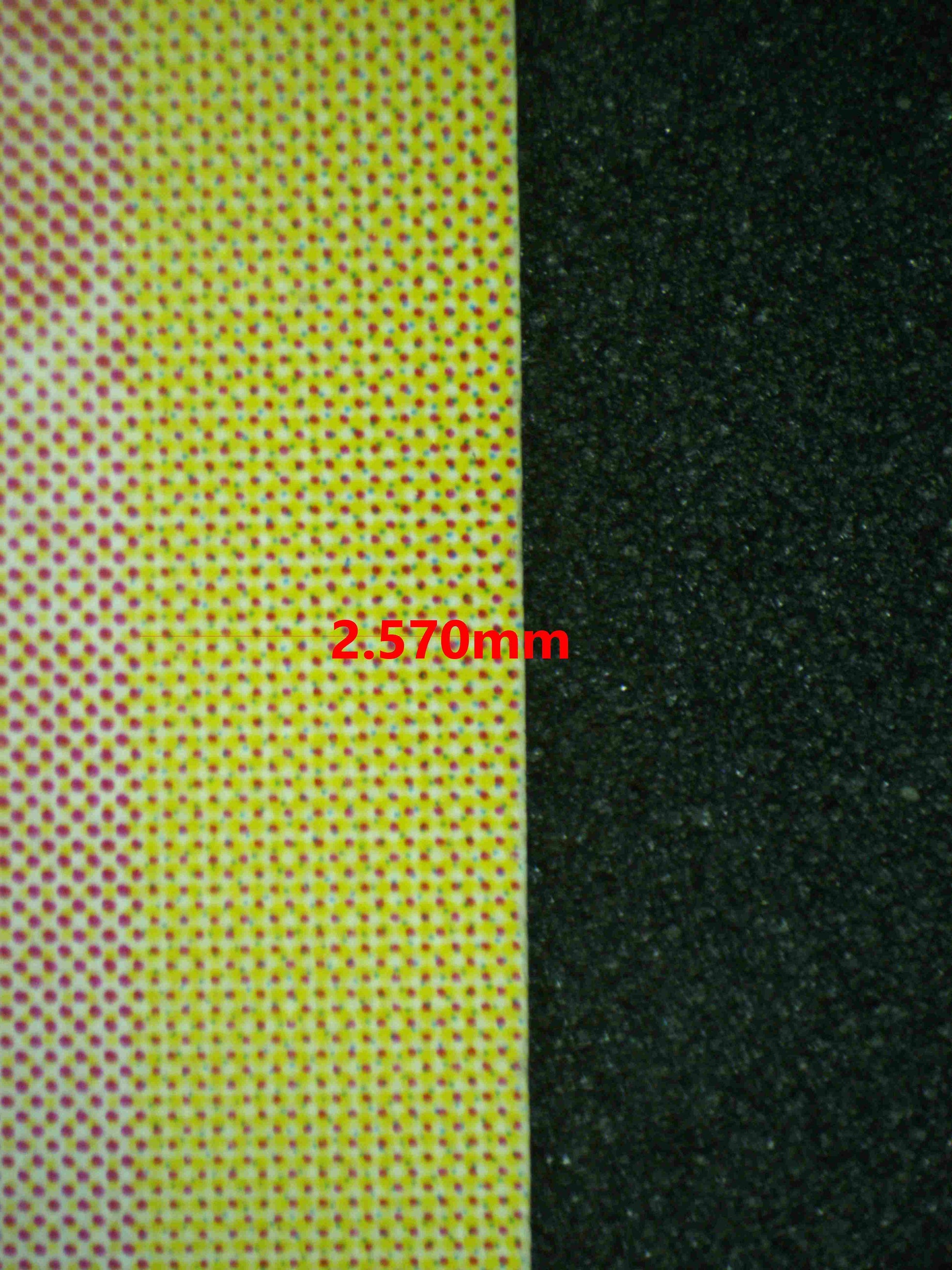 06697 MOLTRES (JAPANESE) Grading Card