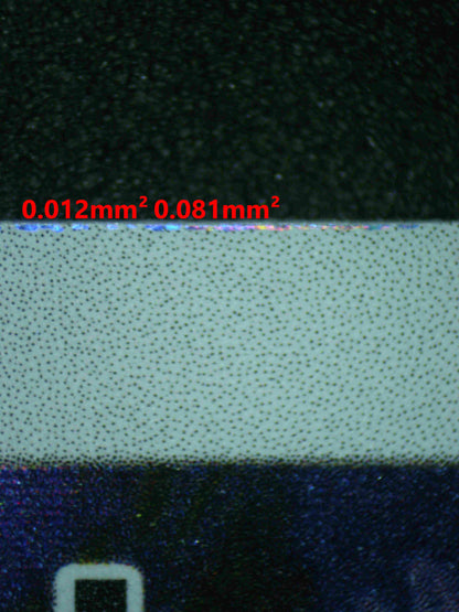 06700 MUNKIDORI Grading Card