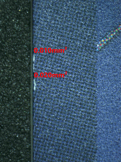 06703 SHANKS Grading Card