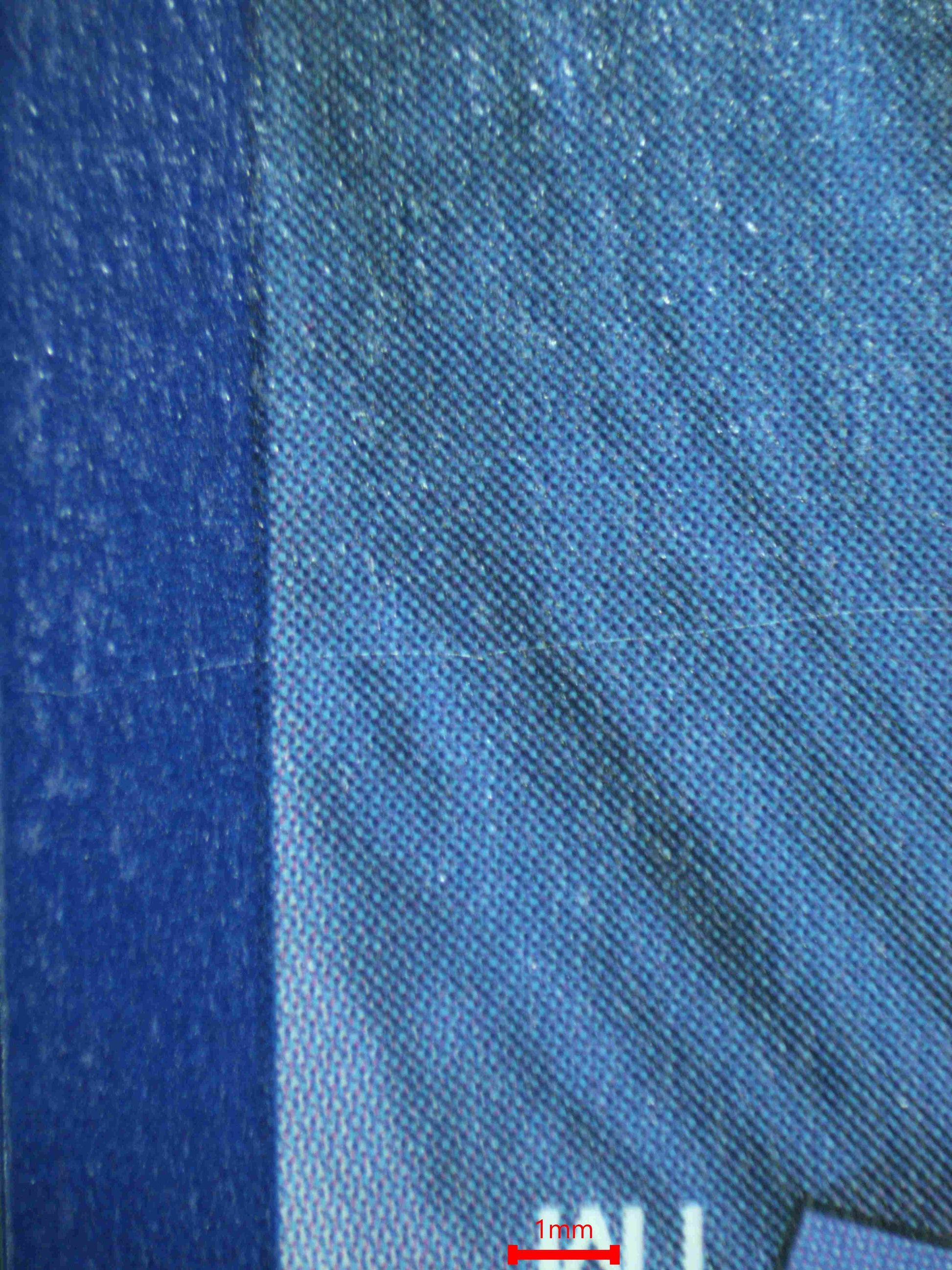 06712 ICE RIDER CALYREX VMAX Grading Card