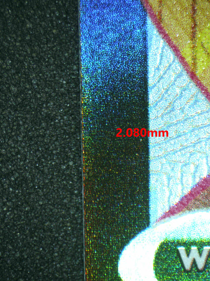 06713 CENTISKORCH VMAX Grading Card