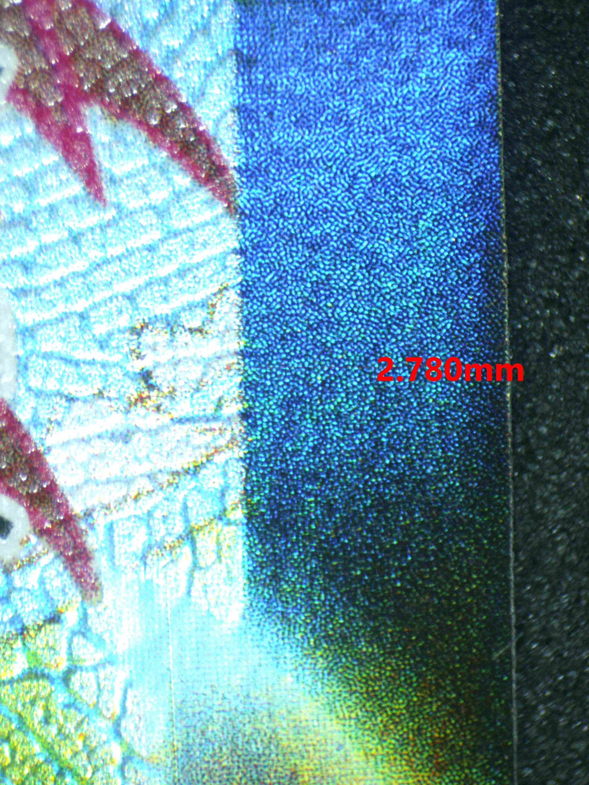 06713 CENTISKORCH VMAX Grading Card