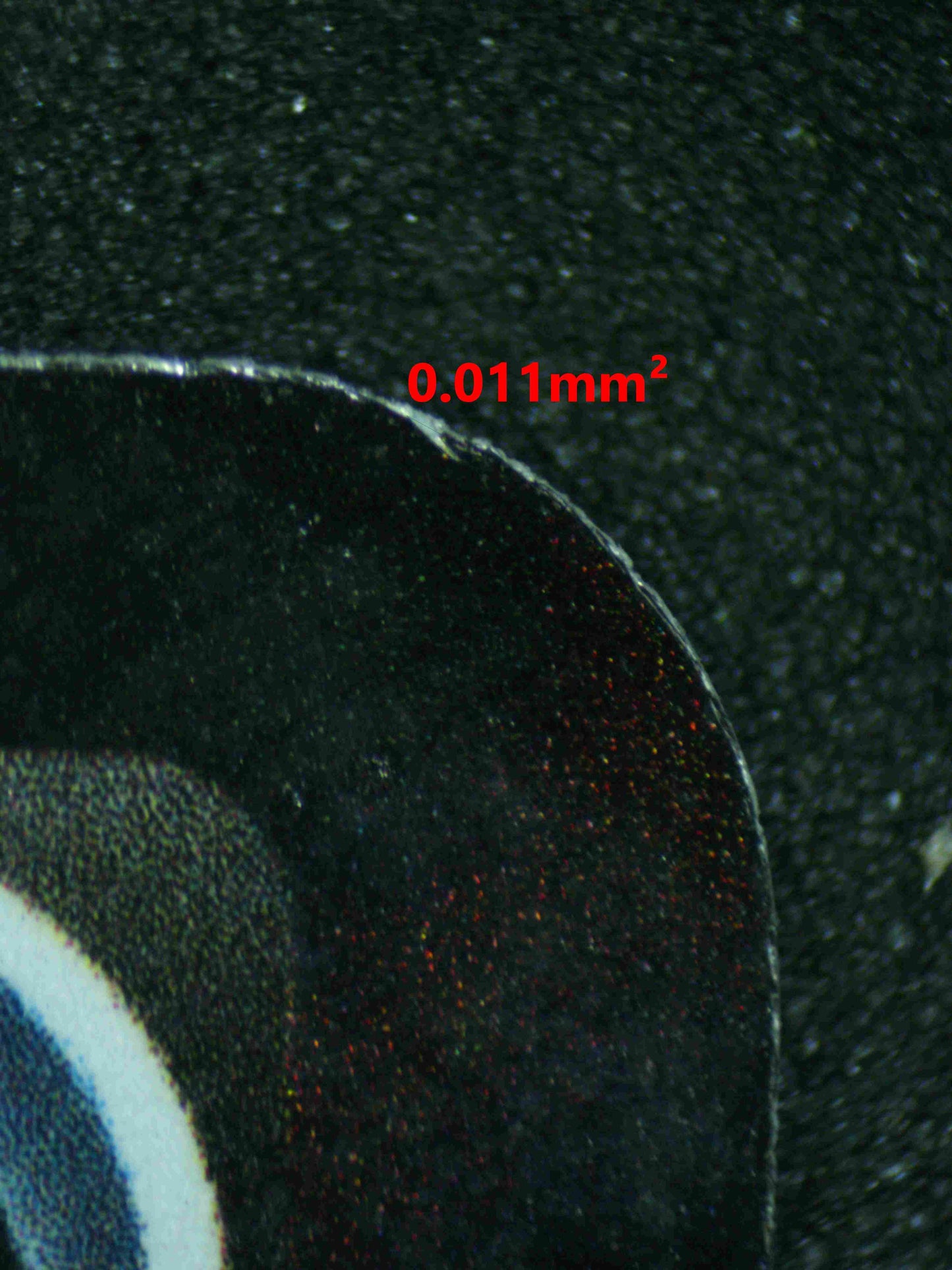 06720 UMBREON V Grading Card