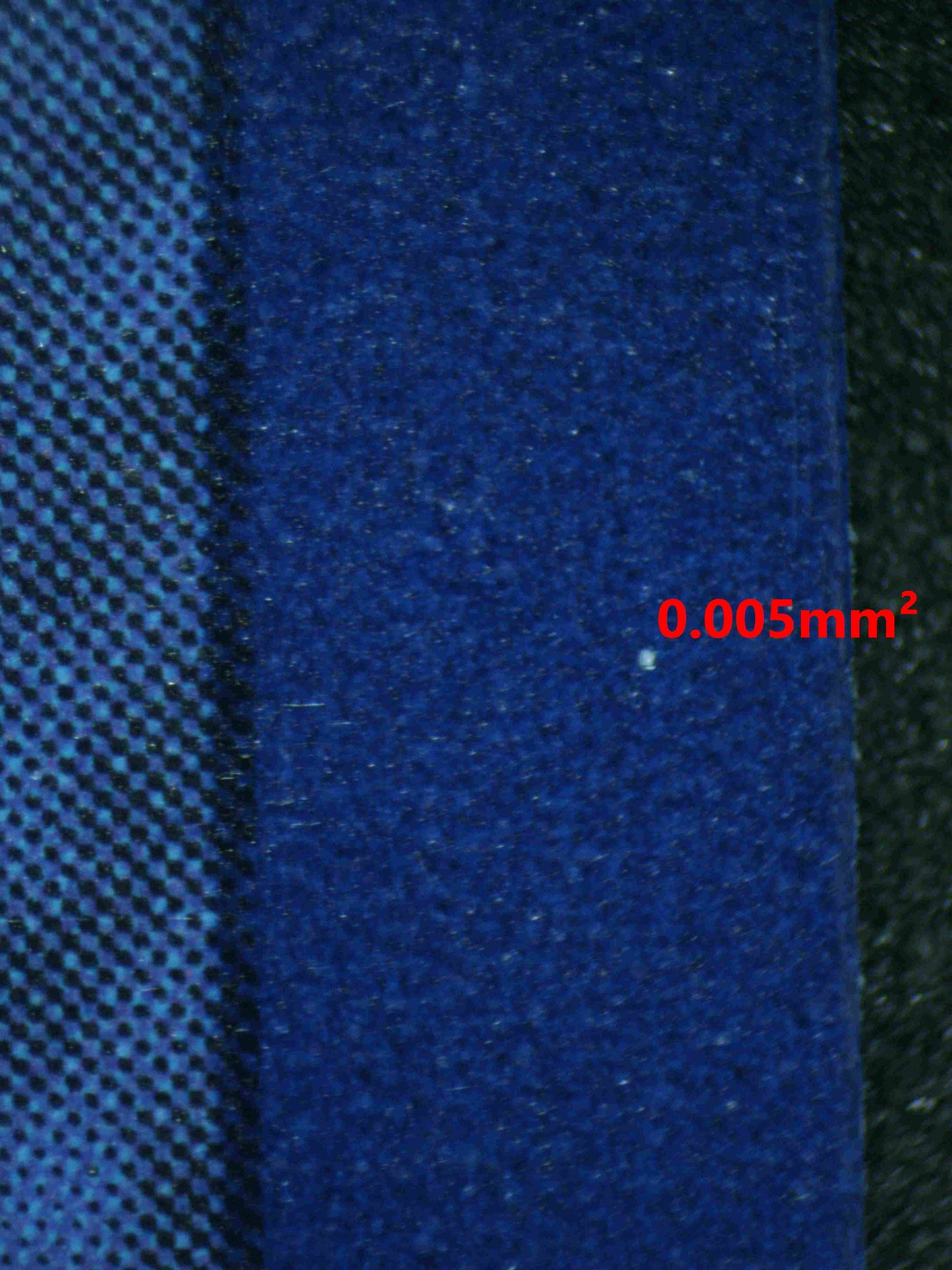 06721 TAPU KOKO EX Grading Card