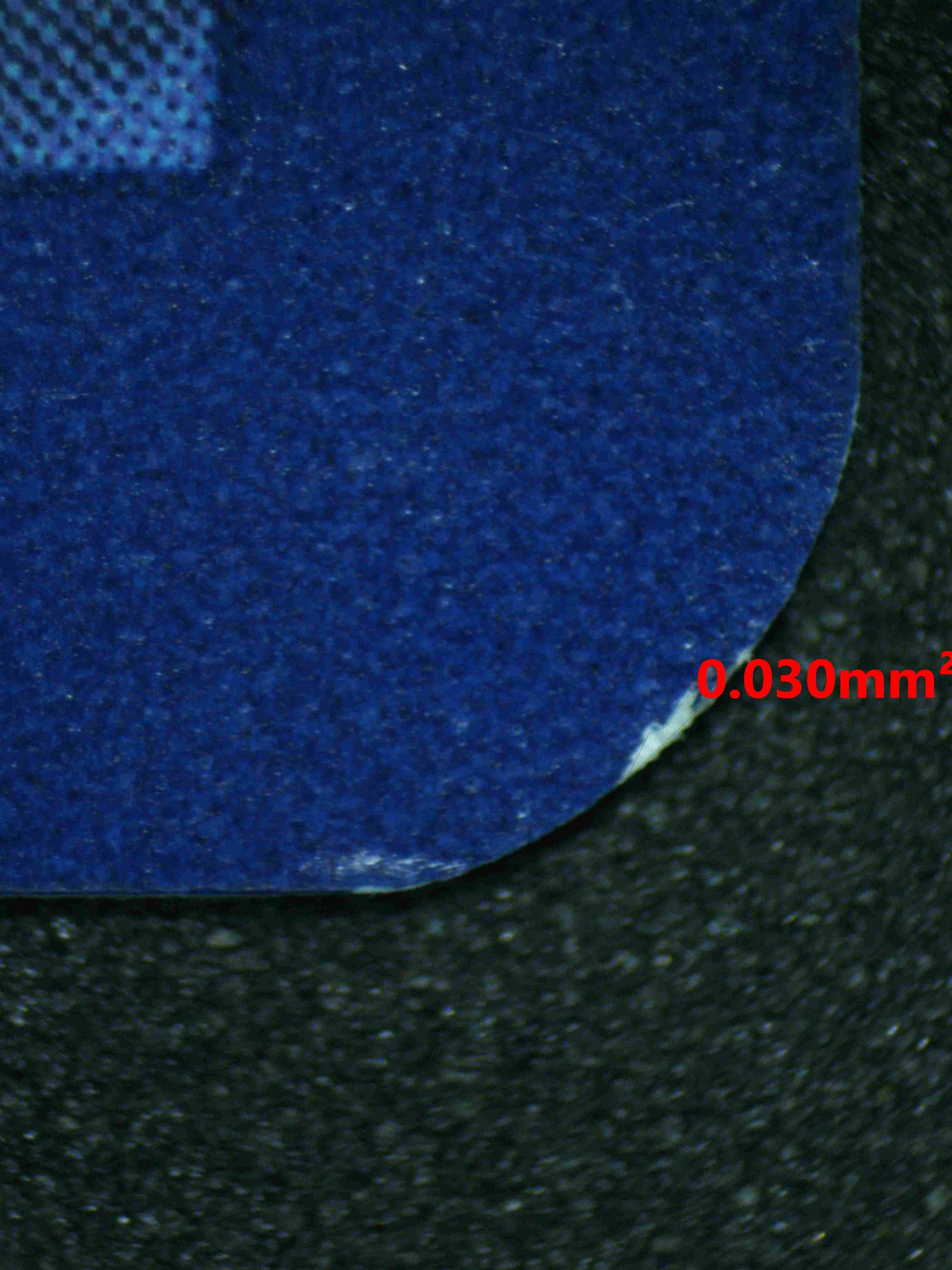 06721 TAPU KOKO EX Grading Card