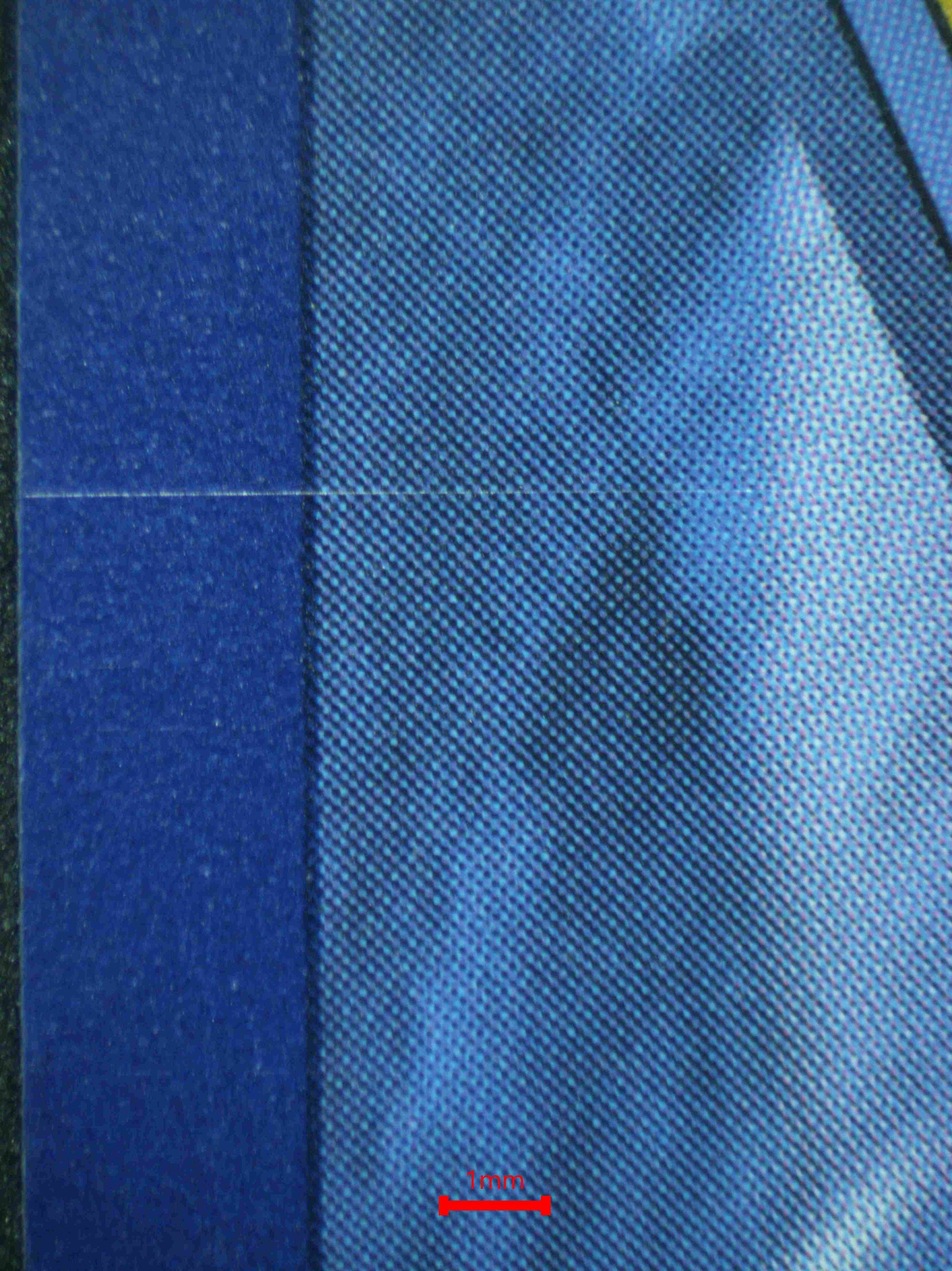 06723 PIDGEOT EX Grading Card