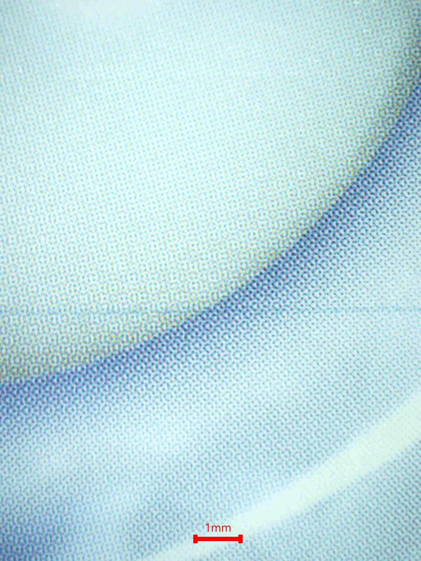 06728 ORIGIN FORME PALKIA VSTAR Grading Card