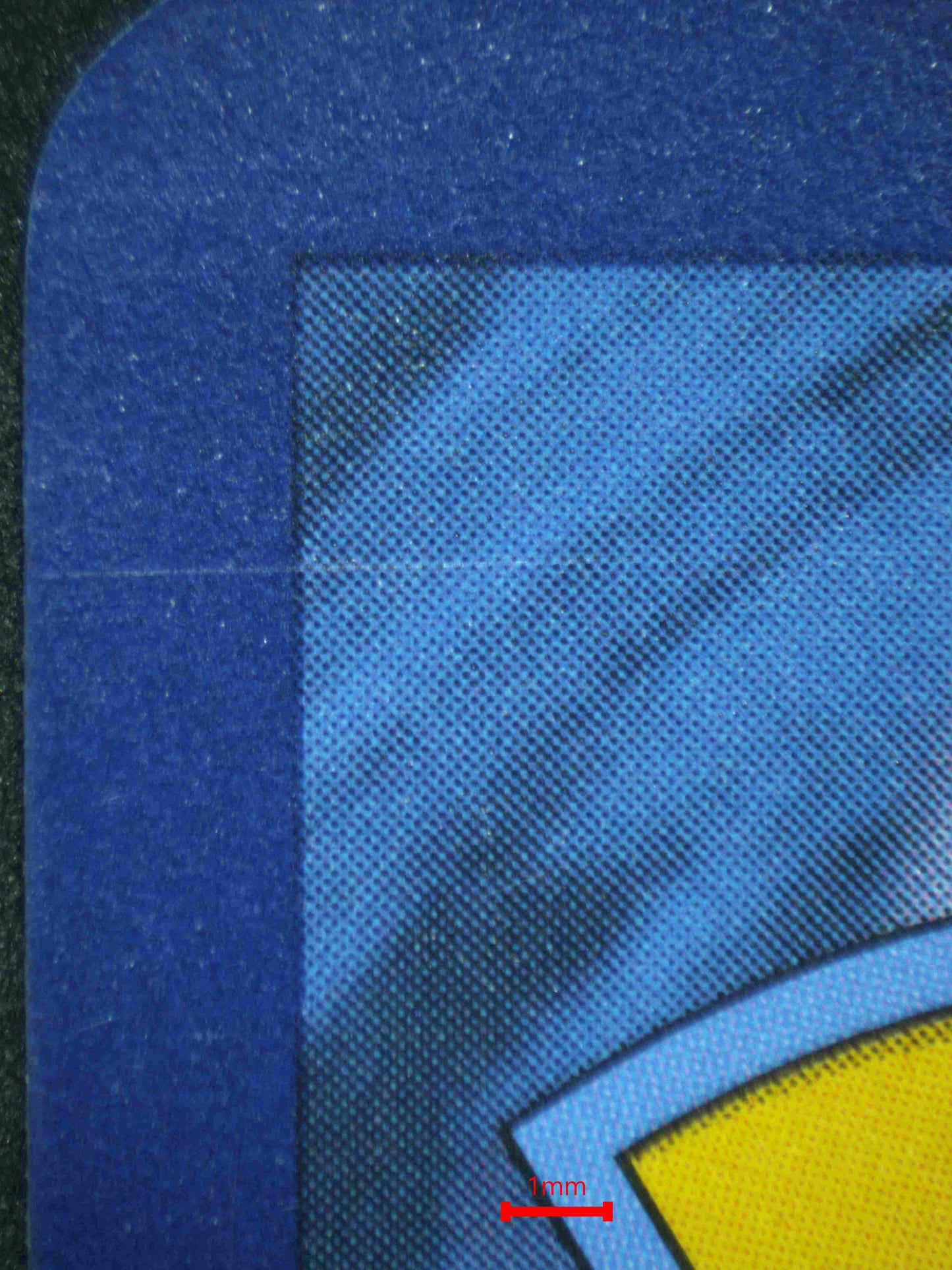 06732 SYLVEON EX (SPANISH) Grading Card