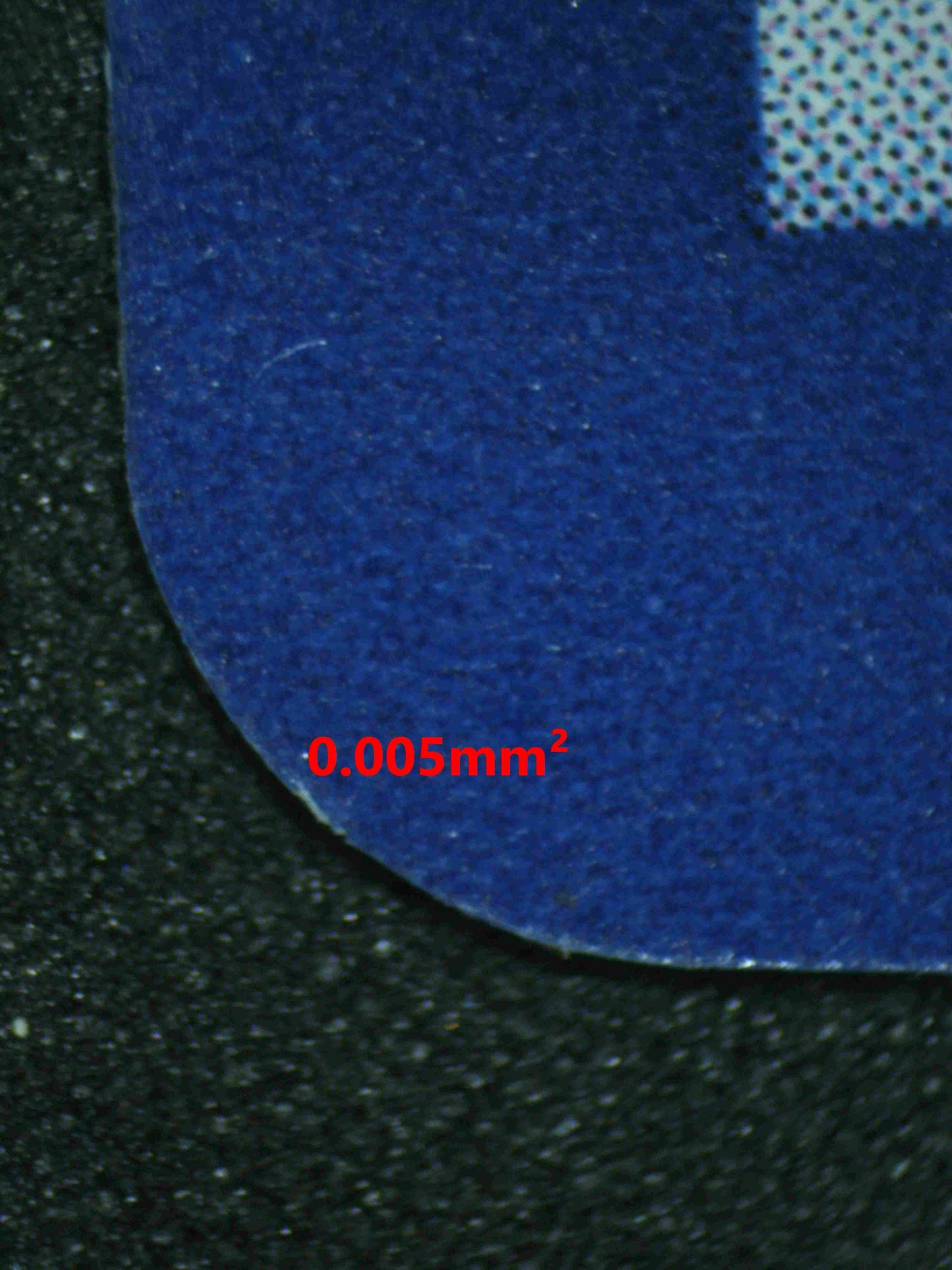 06732 SYLVEON EX (SPANISH) Grading Card