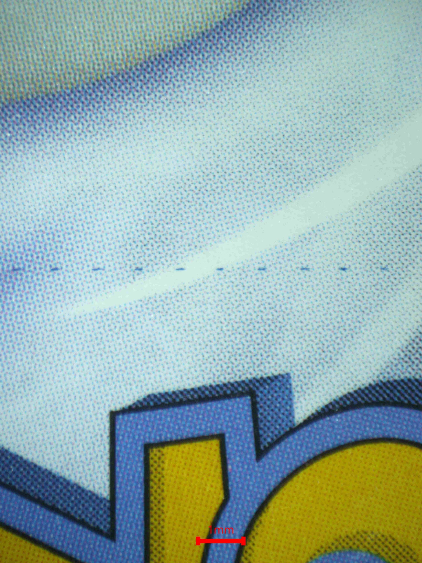 06736 TURTWIG Grading Card