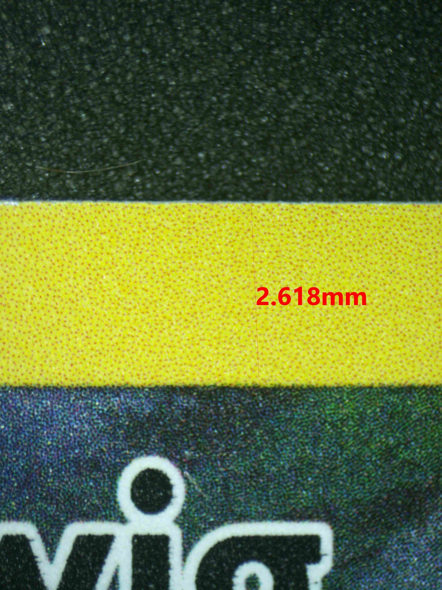 06736 TURTWIG Grading Card