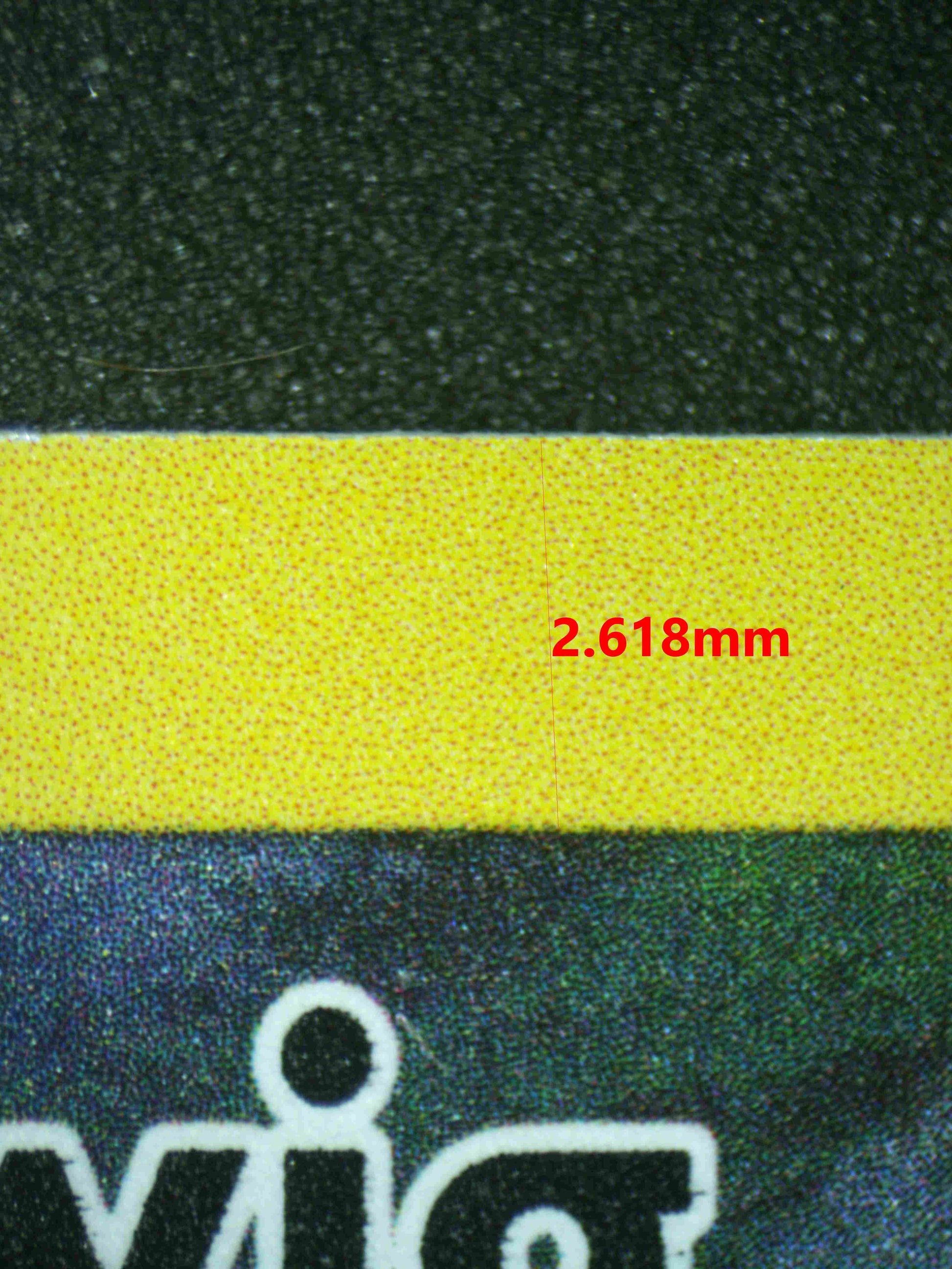 06736 TURTWIG Grading Card