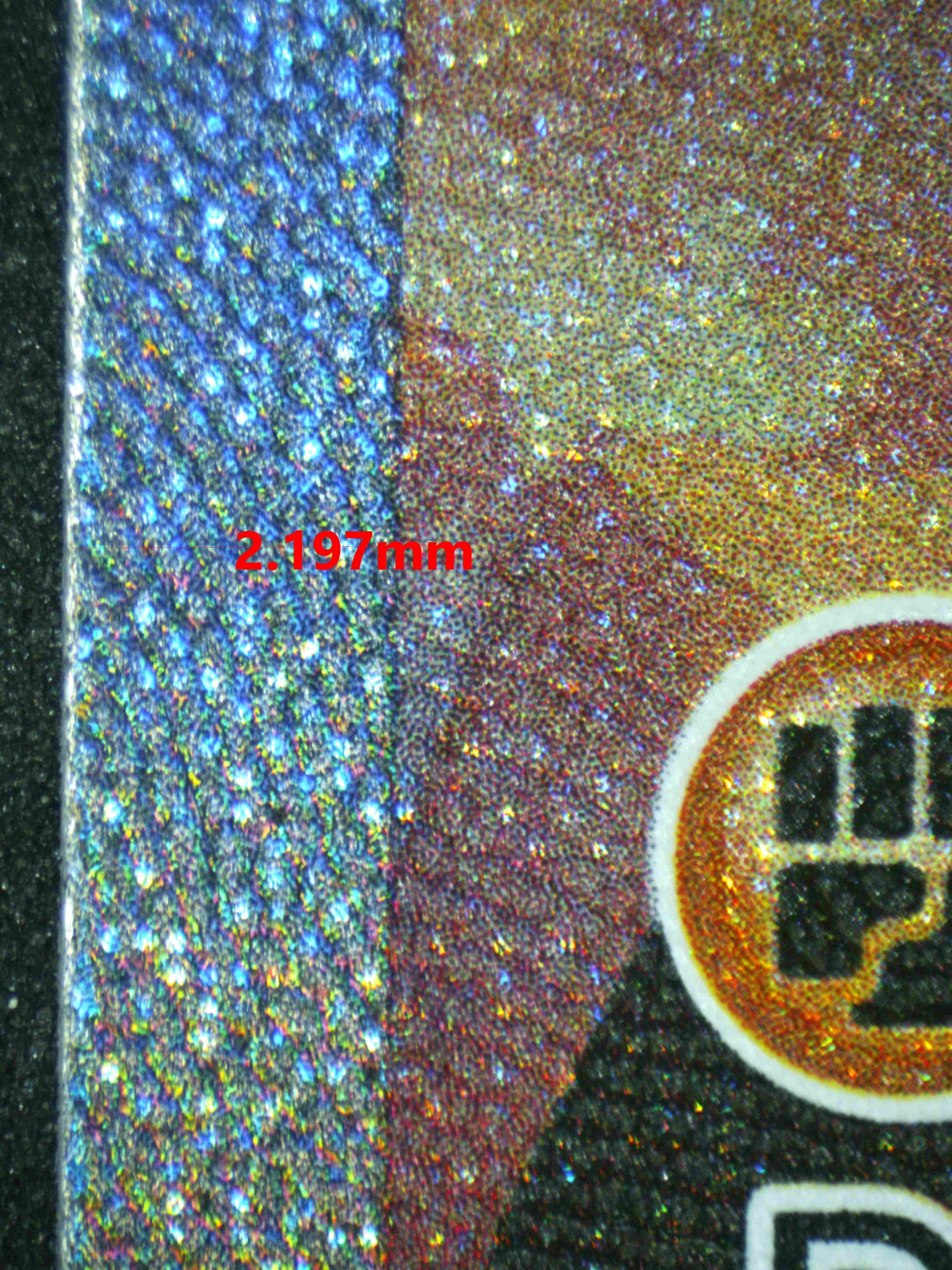 06738 KORAIDON EX Grading Card