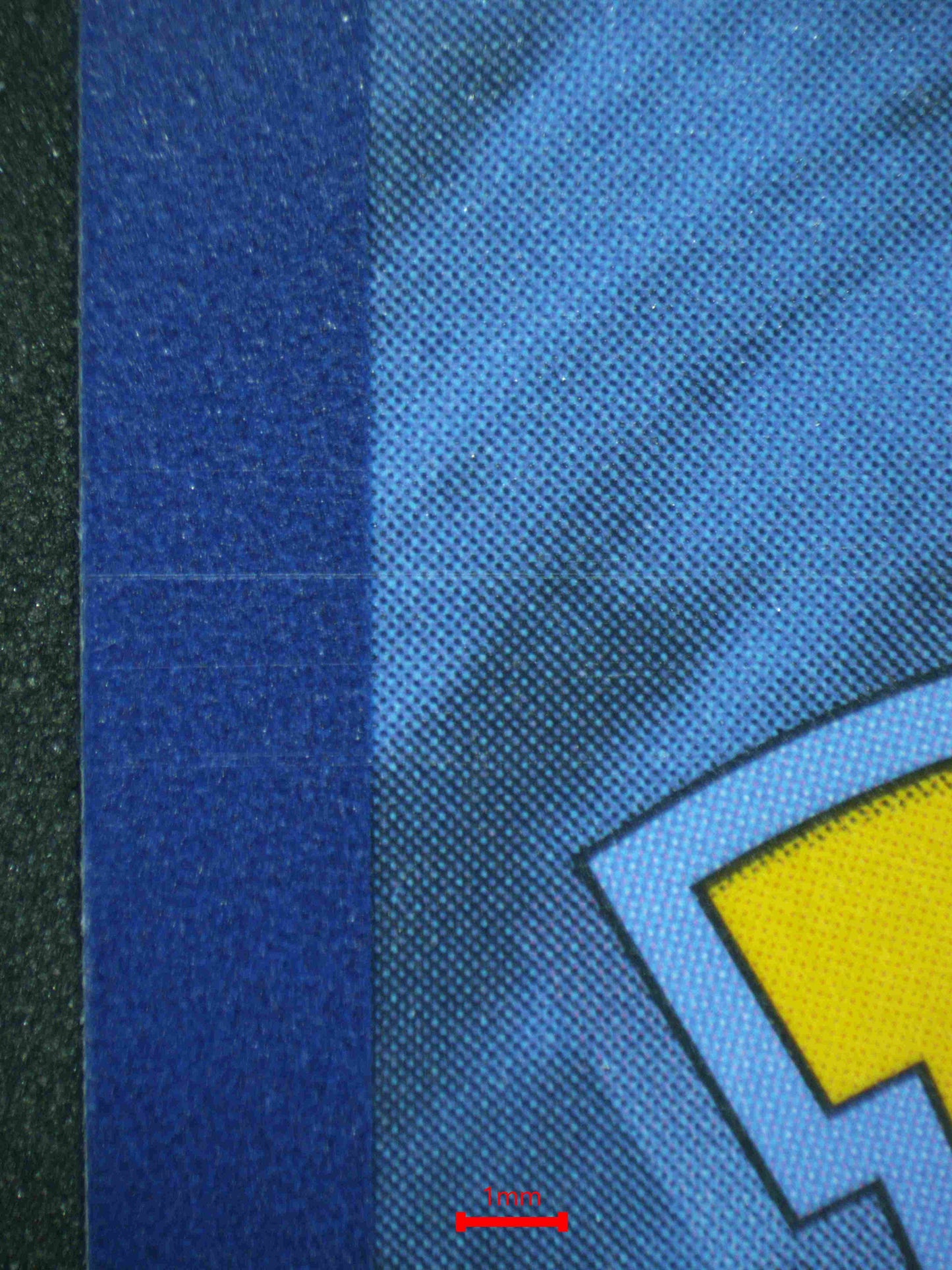 06746 ROARING MOON EX Grading Card