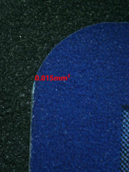 06749 BULBASAUR Grading Card