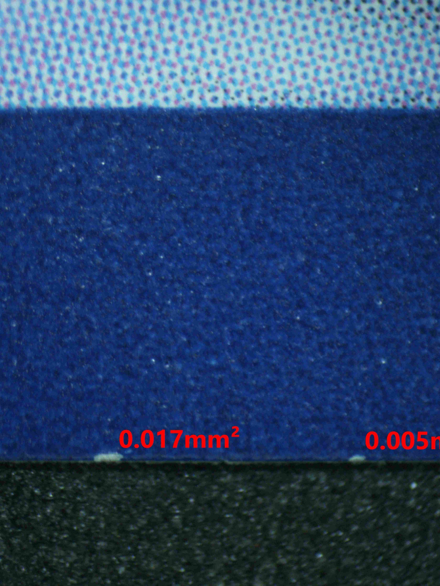 06749 BULBASAUR Grading Card