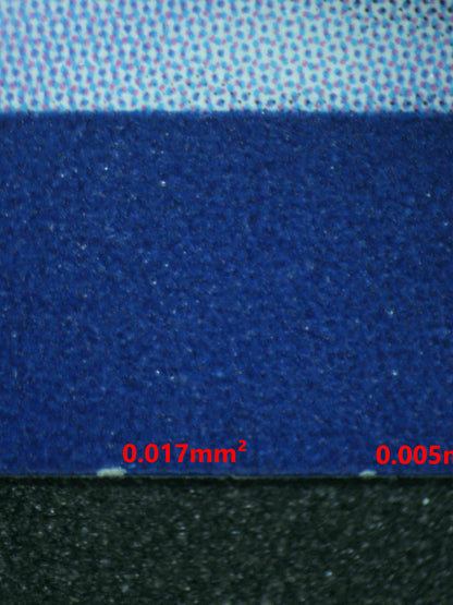 06749 BULBASAUR Grading Card