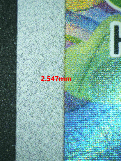 06749 BULBASAUR Grading Card