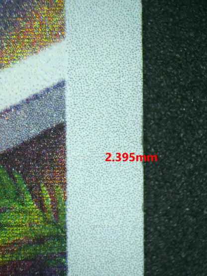 06749 BULBASAUR Grading Card